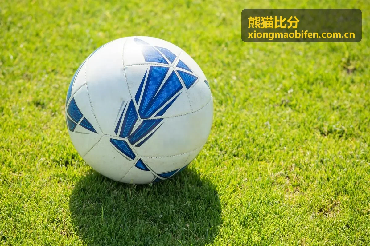 熊猫比分 - RNG电子竞技俱乐部球队资料封面